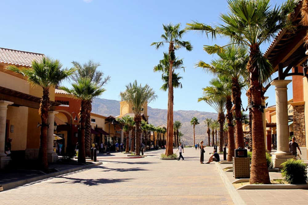 What Are The Best Places For Shopping In Palm Springs CA THE WESTCOTT   Amqt5jyqxtgqvw9rwd5z 